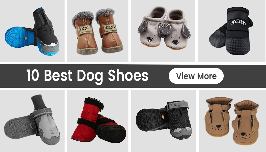 10 Cute Dog Shoes That Stay on Your Pets